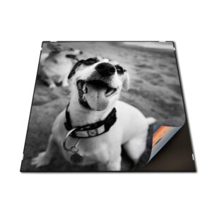 Kitaypon - paneles murales personalizados con grabado o impresión profesional