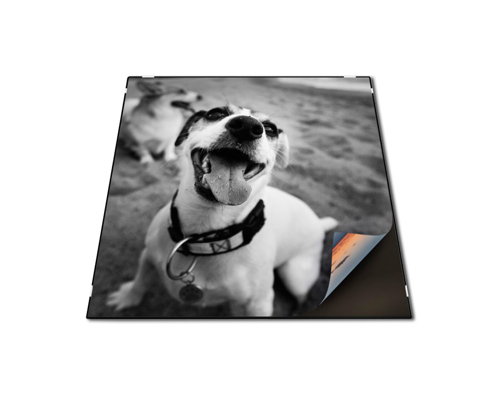 Kitaypon - paneles murales personalizados con grabado o impresión profesional