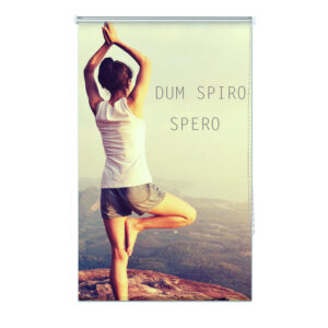 Estores personalizados con grabado o impresión profesional